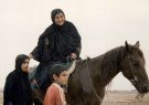 آغاز رسمی جشنواره جهانی فجر با یک فیلم خاطر انگیز