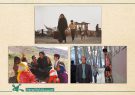 اکران آنلاین سه فیلم سینمایی کانون همزمان با روز دانش‌آموز
