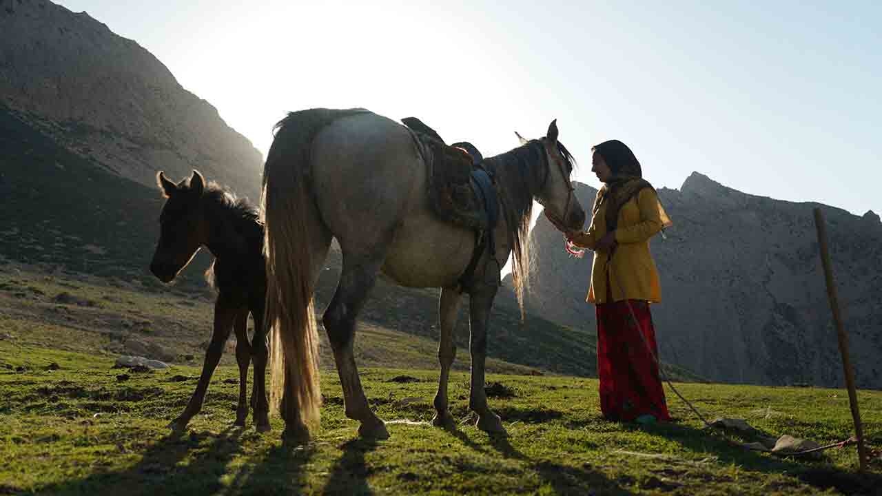 &laquo;رویای یک اسب&raquo; به بیگ اسکای رسید