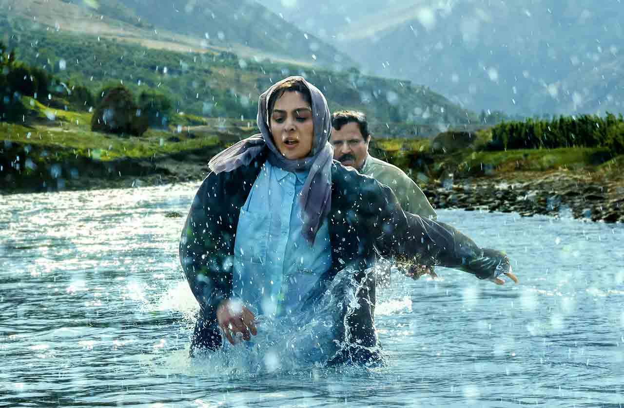 &laquo;درآغوش درخت&raquo; سیمرغ اصلی را در اکران می&zwnj;گیرد