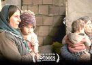 مستند «شوهر ایران خانم» راهی هات داکس شد